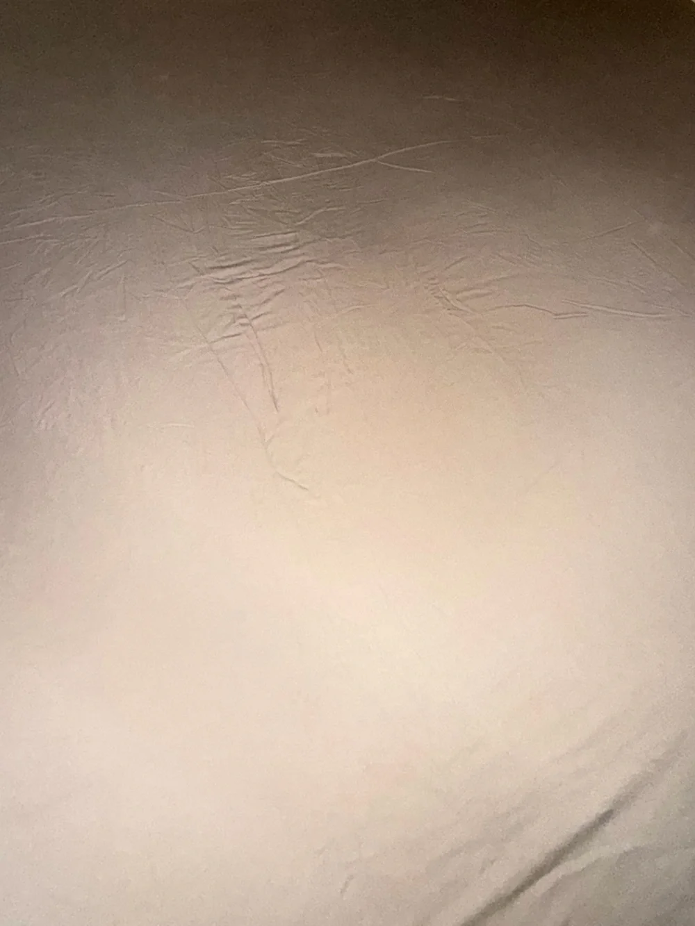 Bamboo Flat Sheet